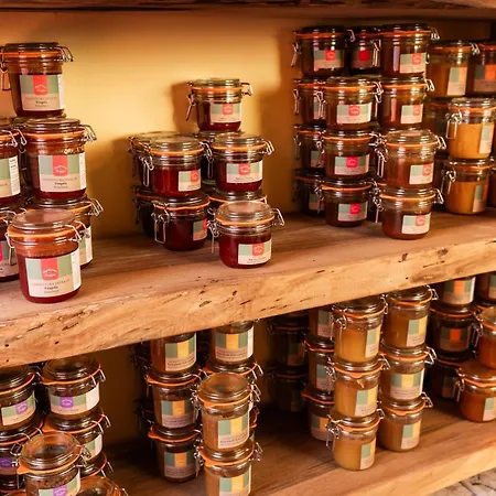Farma Dei Grippi Sona