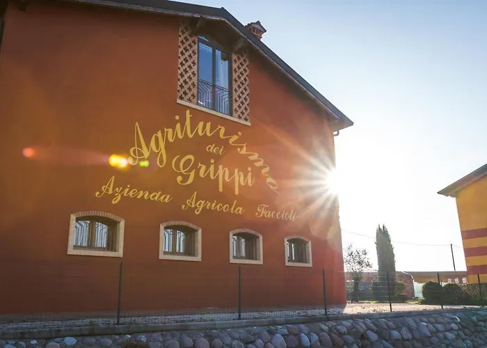 Dei Grippi *