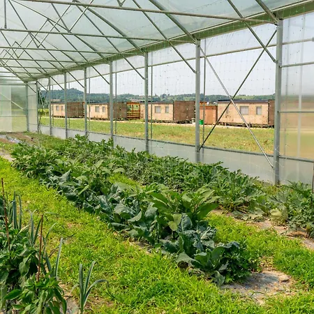 Farm stay Dei Grippi *