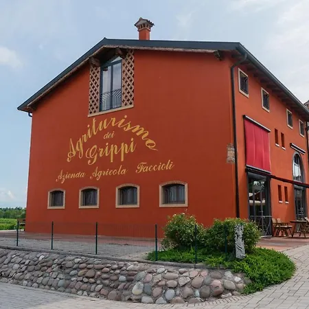 Dei Grippi *